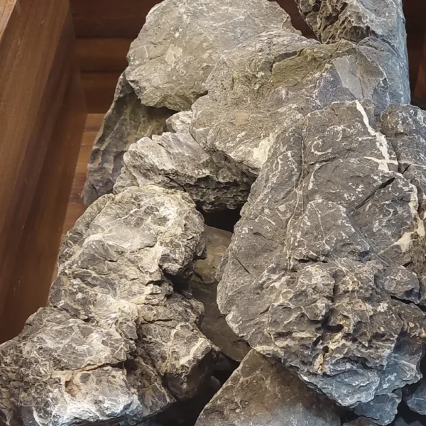 Rotala Namasu Stone pieces 10–20 cm