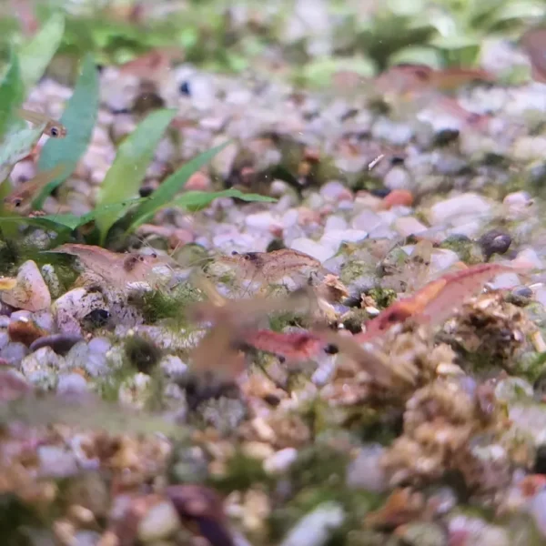 e10812509a8091185ecd480cdbf34cdd